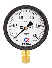 Манометры с повышенной пылевлагозащищенностью. Тип ТМ (ТВ, ТМВ), серия 10, IP54