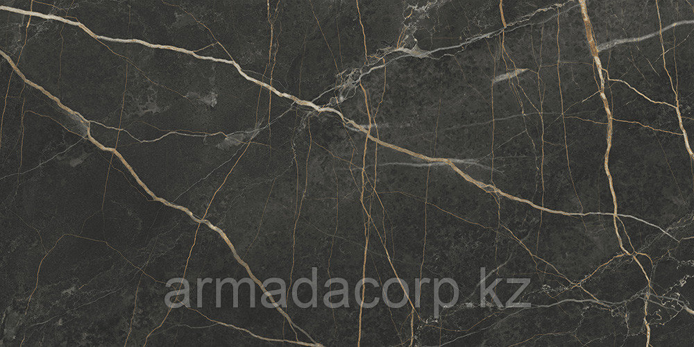 60x120 MarbleS Порт Лорен Лаппато R9