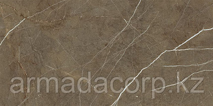 Marmori Пулпис Бронзовый, фото 4