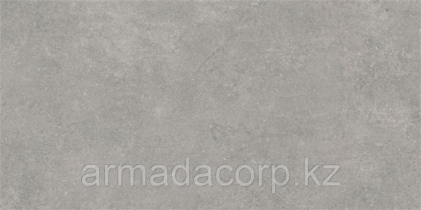 60x120 Newcon Серебристо-серый Матовый R10A, фото 1