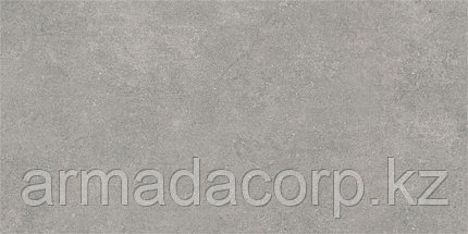 60x120 Newcon Серебристо-серый Матовый R10A, фото 5