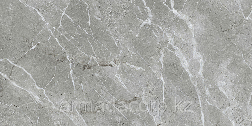 60x120 SilkMarble Бреча Серый Матовый R9