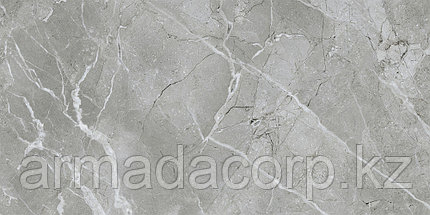 60x120 SilkMarble Бреча Серый Матовый R9, фото 3