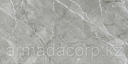 60x120 SilkMarble Бреча Серый Матовый R9, фото 6