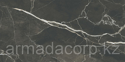 60x120 SilkMarble Порто Неро Матовый R9, фото 5