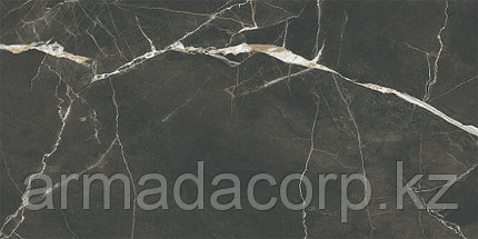 60x120 SilkMarble Порто Неро Матовый R9, фото 6