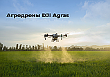 Агродрон DJI Agras T50, фото 7