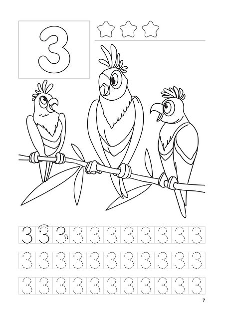 Қысқа тәжі бар ұзын шашқа арналған шаштараз