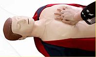 Тренажер учебный сердечно легочной мозговой реанимации торс для оказания первой помощи человеку