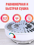 Сушилка для грибов Ветерок (электросушилка 3 прозрачных поддона, в гофр.упаковке), фото 7