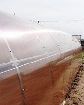 Сотовый поликарбонат Greenhouse Nano урожайный, фото 3