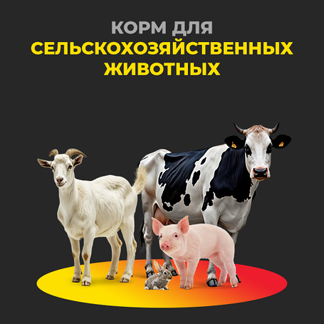 Корма для сельскохозяйственных животных
