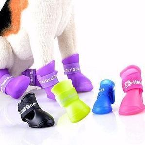 Обувь для животных