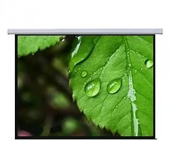 Экран настенный Mr.Pixel 96" X 96" (2.44 X 2.44) MSPSBB135V2
