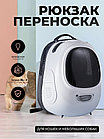 Рюкзак-переноска для кошек и собак BP-109-004