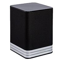 Дополнительная беспроводная акустика Electrocompaniet Tana L-2 (Норвегия)