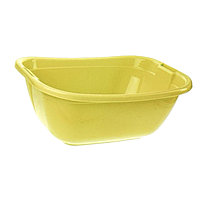300040 Ванночка овальная
