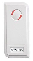 Tantos TS-CTR-EM White Автономный контроллер доступа со встроенным считывателем карт форматов EM-Mar