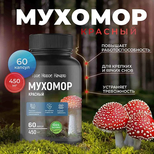 Үйсіз әжелердің порносы