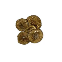 Шляпки пантерного мухомора 5 гр