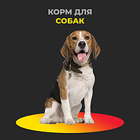 Сухой корм для собак