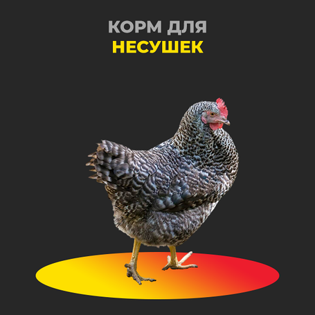 Комбикорм для несушек