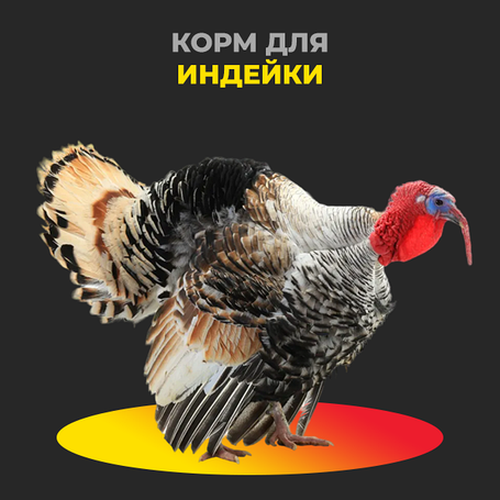 Корм для индейки