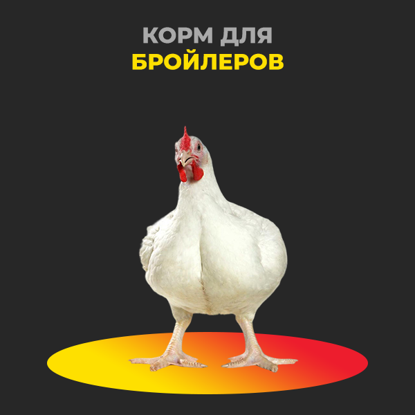Комбикорм для бройлеров