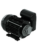 Garda 5 230V - Электрический шестеренчатый насос для масла и ДТ, 10 л/мин, PIUSI