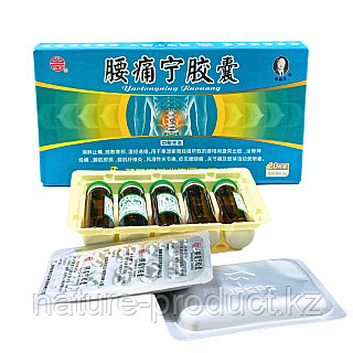 Кемпірлерге тыңшылық