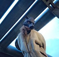 Маска "Волк" Черный