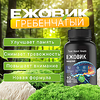 Ежовик гребенчатый мицелий 90 капс, 500 мг