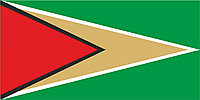Флаг Гайана размер 1 х 2 метра.