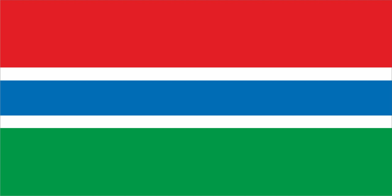Флаг Гамбия размер 1 х 2 метра.