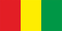 Флаг Гвинеи размер 1 х 2 метра.