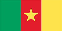 Флаг Камеруна размер 1 х 2 метра.