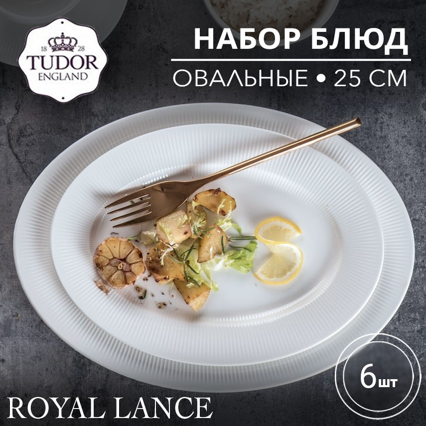 Блюдо овальное 25 см Royal Lance TU2871-2 (набор 6шт) TUDOR, фото 1