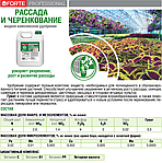 Bona Forte Удобрение Professional Жидкое РАССАДА И ЧЕРЕНКОВАНИЕ (канистра), 5л, фото 2