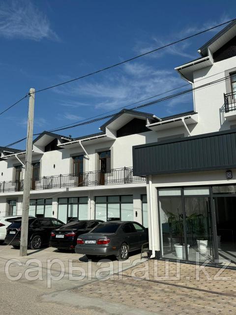 Шашты кисканың жоғары сапалы фотосуреті