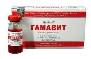 Гамавит 10 мл * 5 (УПАКОВКА)