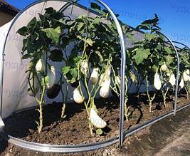 Парник Агрощит 5,2 м стальной с агроматериалом повышенной прочности 65 мкр