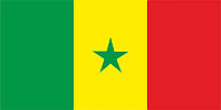 Флаг Сенегала 1 х 2 метра.