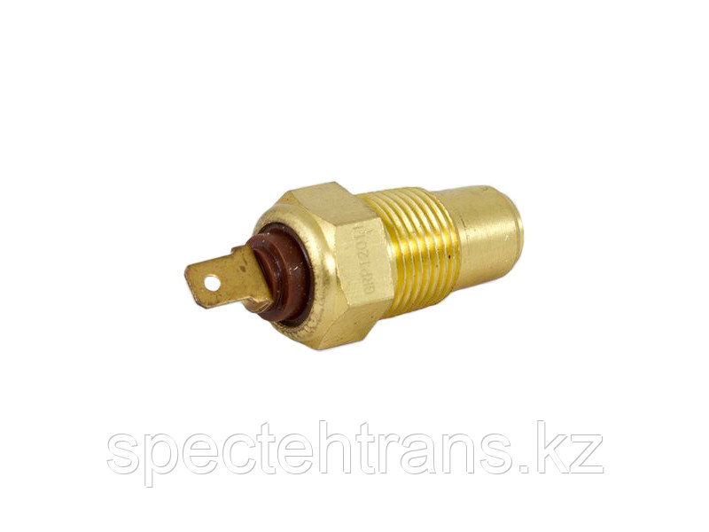 ТМ111-3828000 Датчик температуры воды ТМ111/LS0311 (штекер)