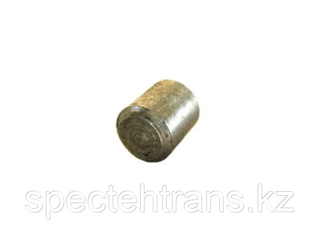 240-1003037 Заглушка блока цилиндров (бобышка) (ОАО ММЗ)