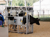 Станок для обработки копыт