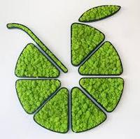 Логотип из мха