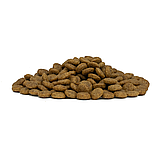 11779 Forzа10 Medium Diet cer|pat,Форца10 диетический корм из оленины и картофеля для собак средних пород,уп12, фото 6