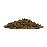 11700 Forza10 Mini Diet pesce, Форца10 диетический корм из рыбы для собак мелких пород, уп.400г., фото 5