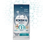 11731 Forza10 Medium Diet pesce, Форца10 диетический корм из рыбы для собак средних пород, 12кг.