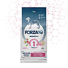 709416 Forza10 Medium Diet al Maiale con Patate, Форца10, низкозерновой корм для собак, кабан/картофель,12кг